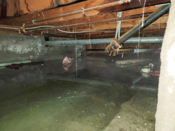 Best 24-hour water damage restoration  in Lahoma City, OK