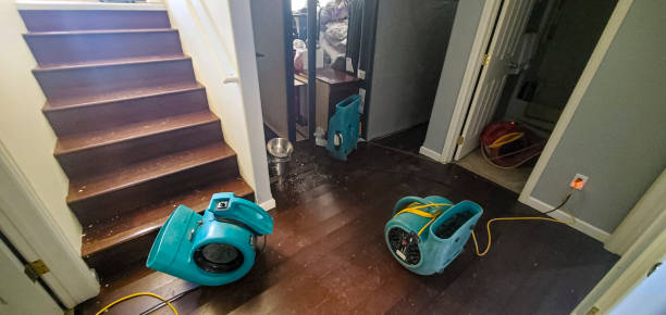 Best Residential water damage restoration  in Lahoma City, OK