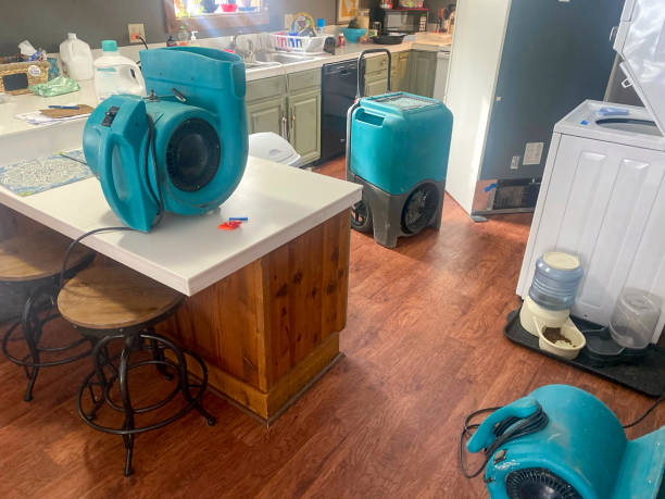 Best Carpet water damage restoration  in Lahoma City, OK