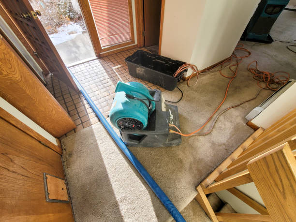 Best Commercial water damage restoration  in Lahoma City, OK