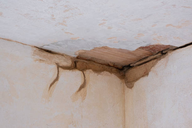 Best Water damage contractors near me  in Lahoma City, OK