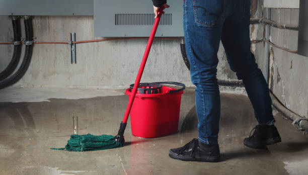 Best Professional water damage repair  in Lahoma City, OK