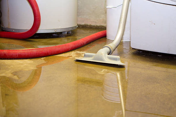 Best Basement water damage restoration  in Lahoma City, OK
