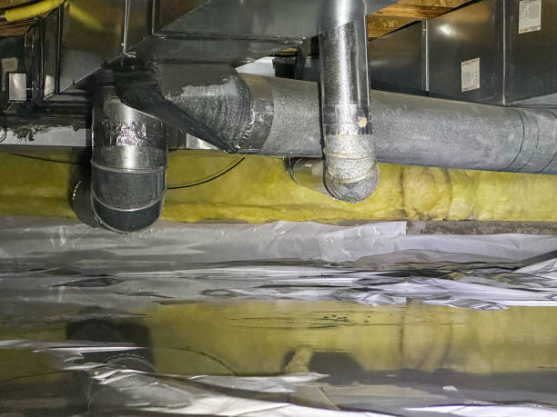 Best Mold removal after water damage  in Lahoma City, OK