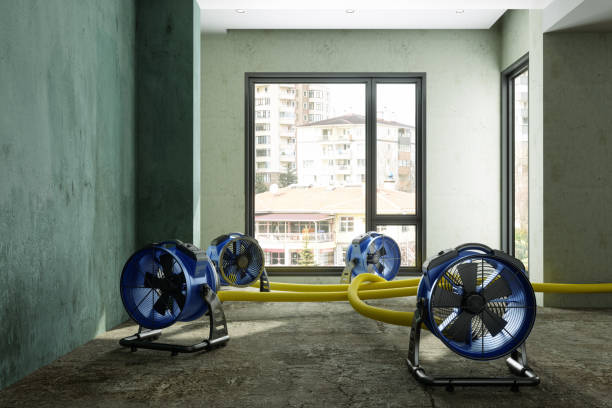 Best Flood restoration services  in Lahoma City, OK